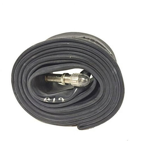 Schwalbe Inner Tube 20 inch 406x40/62 Schrader Valve 40mm