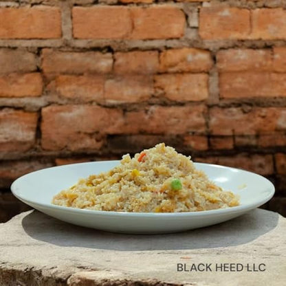 10 Year Shelf LifeBH-500 Emergency Food/Survival Food/MRE/Camping & Hiking Food (Vegan Fried Rice)