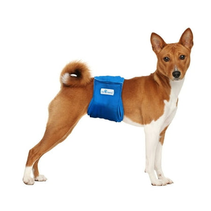 Paw Inspired Washable Reusable Male Dog Wraps, Belly Band for Dogs | Washable Dog Diapers, Reusable Pet Diapers for Male Dog Puppy Doggie| Marking Incontinence (Medium (3ct), Assorted (White Lining))