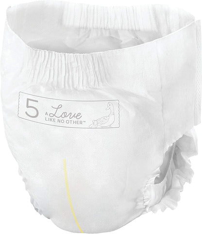 Bambo Nature Premium Training Pants - French/English Packaging, Size 5, 100 Count