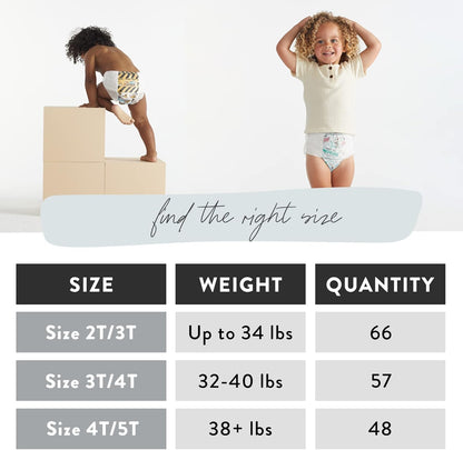 The Honest Company Clean Conscious Training Pants for Sensitive Skin | Hypoallergenic, Fragrance Free | Let's Color + See Me Rollin' | Size 4T/5T (38+ lbs), 48 Count