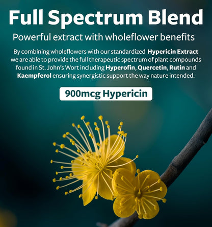 St. John's Wort - 120 Capsules (Non-GMO) Effective St Johns Wort Capsules - Powerful 900mcg Hypericin - Standardized Extract & Whole Herb Supplement - No Oil, Pills, Tea, Tincture - 500mg Per Capsule 120 Count (Pack of 1)