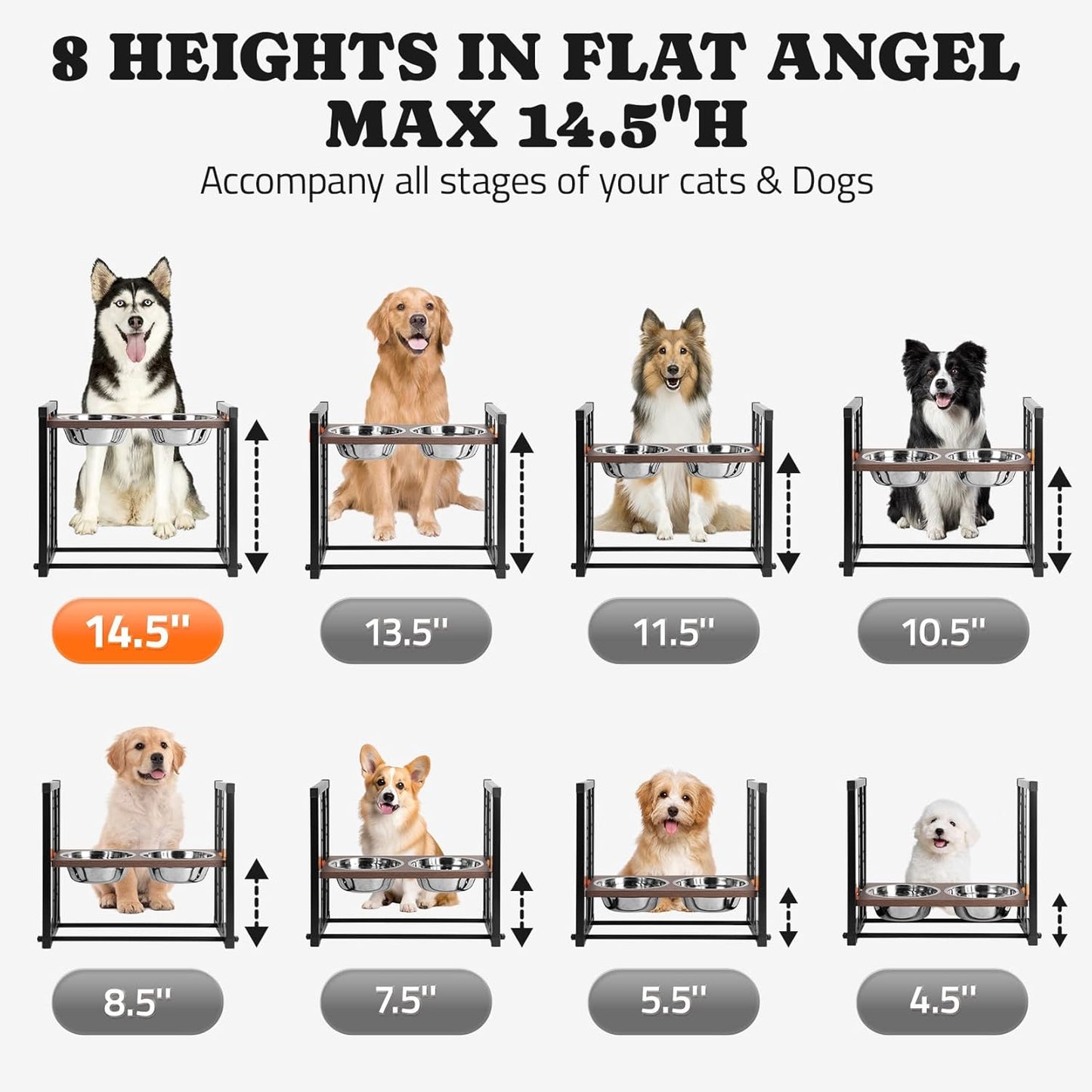 Elevated Dog Bowl: Adjustable 8 Heights Raised Dog Bowl Stand for Medium Large and X-Large Size Dogs, Pawtners 15° Tilted Metal Pet Feeder Station with Stainless Steel Food Water Bowl Set Max 14.5" H