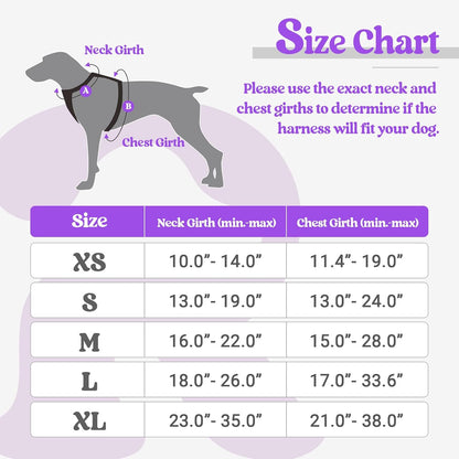 rabbitgoo Dog Harness No Pull with 2 Leash Clips, Adjustable Soft Padded, Reflective Oxford No Choke Pet Vest with Easy Control Handle for Large Dogs, Purple, L