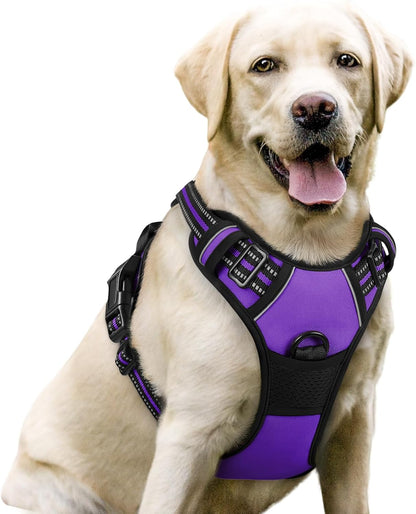 rabbitgoo Dog Harness No Pull with 2 Leash Clips, Adjustable Soft Padded, Reflective Oxford No Choke Pet Vest with Easy Control Handle for Large Dogs, Purple, L