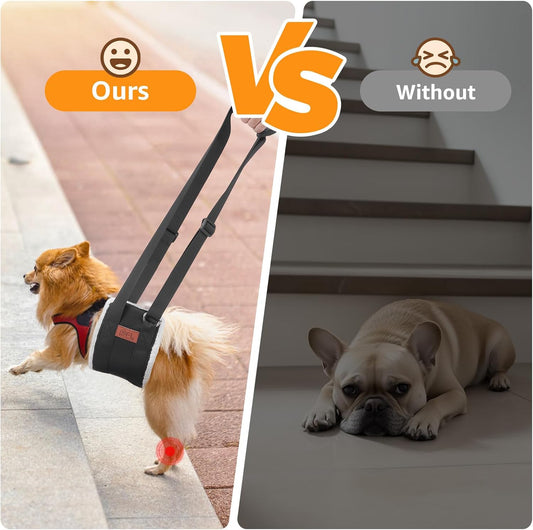 Adjustable Dog Lift Harness, Dog Sling for Large Dogs Lift Support and Rehab Harness for Weak Rear Legs, Soft Hind Leg Support Helps Senior, Injured, Disabled and After ACL Surgery Dogs(Black,Small)