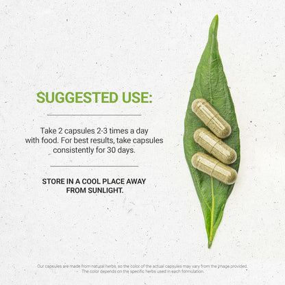 Secrets of the Tribe Schisandra USDA Organic 120 Capsules | Made with Organic Vegetarian Capsules and Organic Schisandra (Schisandra Chinensis) Dried Berry (120 Capsules)