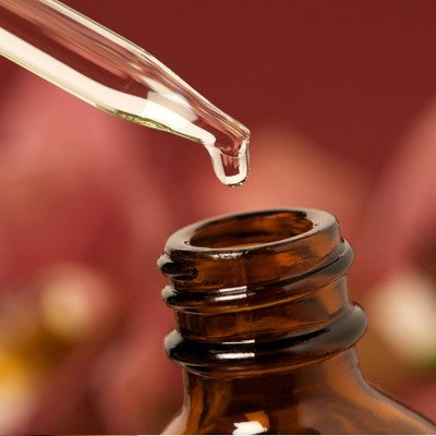 Air Wick Scented Oil Twin Refill Essential Oils - Woodland Pine - 1.34oz