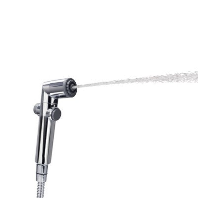 Clean Spa Hand Held Bidet Sprayer - Brondell