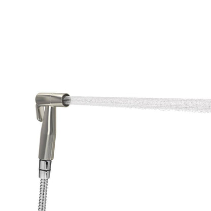CleanSpa Luxury Handheld Bidet in Silver