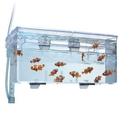 Marina Hang-On Breeding Box, Large